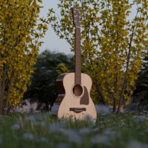 Acoustic Dreadnought Guitar — Spruce Top