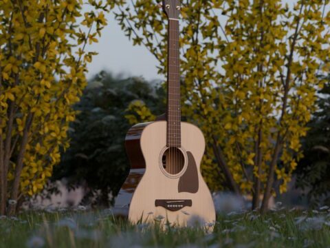 Acoustic Dreadnought Guitar — Spruce Top