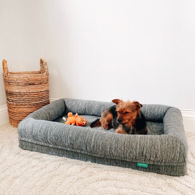 Grey Bolster Dog Bed — Washable Cover, Medium