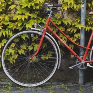 Vintage Steel Road Bike — 54cm, 12-Speed