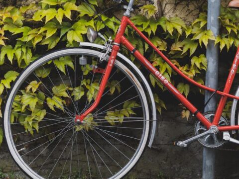 Vintage Steel Road Bike — 54cm, 12-Speed