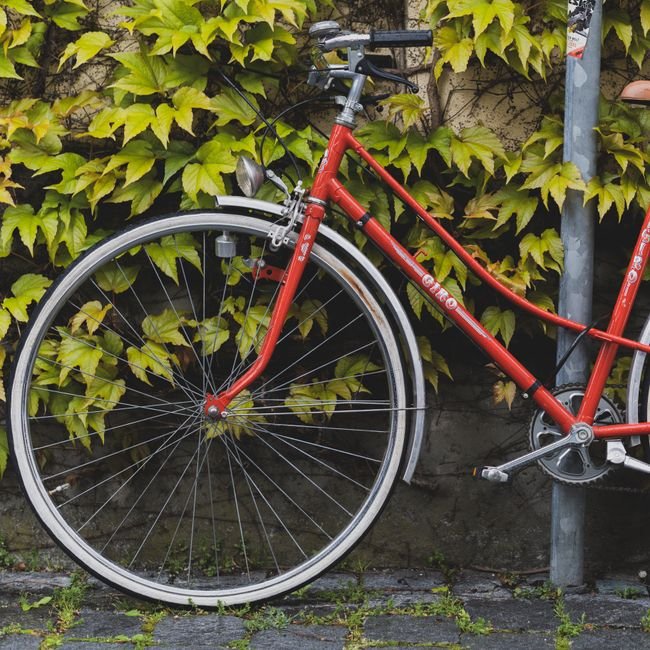 Vintage Steel Road Bike — 54cm, 12-Speed