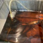 30cm x 20cm moulding fish tank