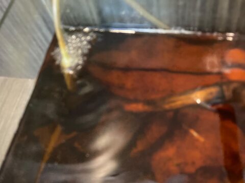 30cm x 20cm moulding fish tank