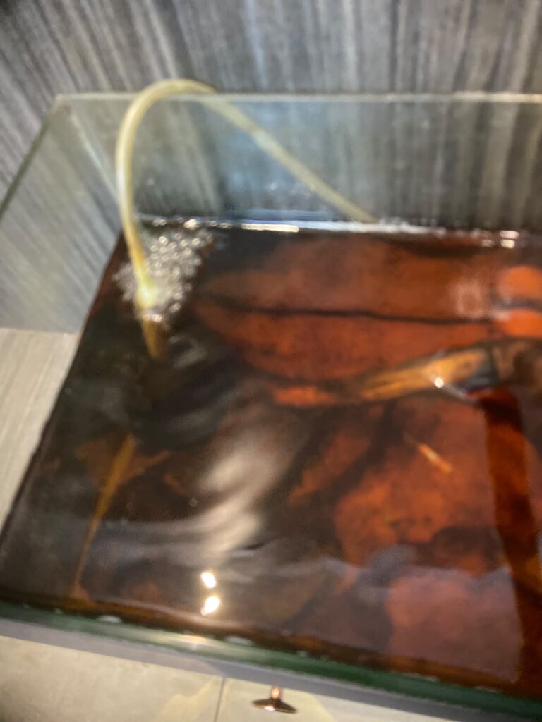 30cm x 20cm moulding fish tank
