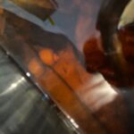 30cm x 20cm moulding fish tank