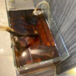 30cm x 20cm moulding fish tank