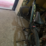 Brand new cycle