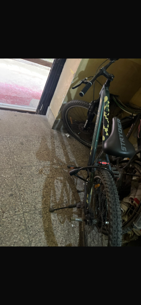 Brand new cycle