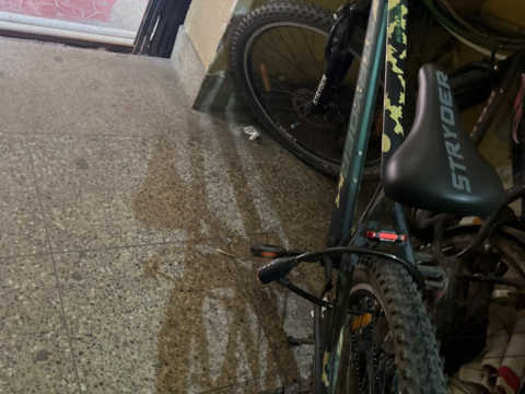 Brand new cycle
