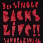 Hoodie Sakurazaka46 3rd Single Backs Live Original Tag Size Large