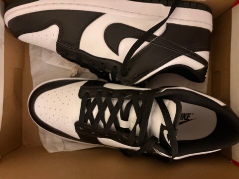 Nike panda jordans