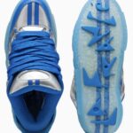 PUMA X FAST FURIOUS MIAMI LA FRANCE