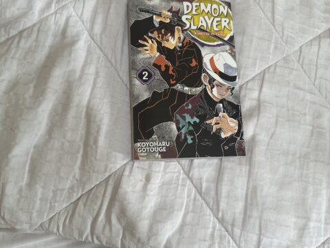 Demon slayer volume 2
