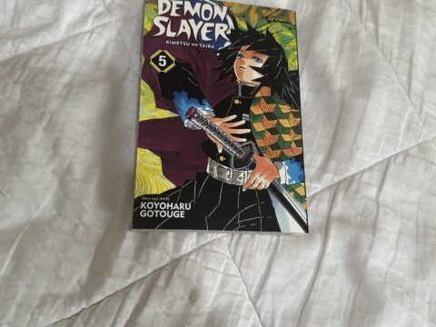 Demon slayer volume 5